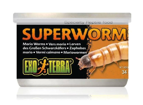EXO TERRA CANNED SUPERWORMS 34G