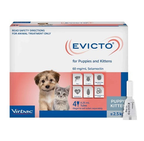 EVICTO PUPPY/KITTENS 2.5KG 4 PACK