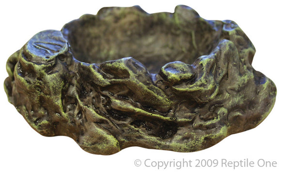REPTILE ONE DISH MED 13 X 11CM