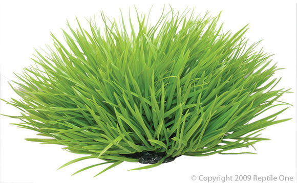 REPTILE ONE SPINIFEX GREEN PLANT 30CM