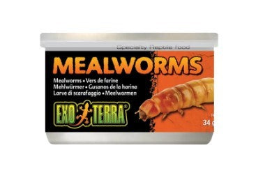 EXO TERRA MEALWORMS 34GM