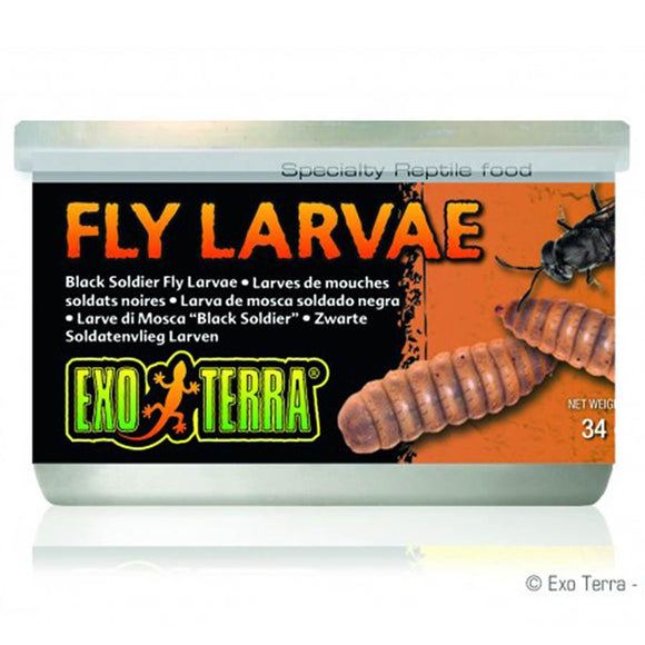 EXO TERRA BLACK SOLDIER FLY LARVAE 34G