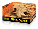 EXO TERRA BUFFALO SKULL MEDIUM