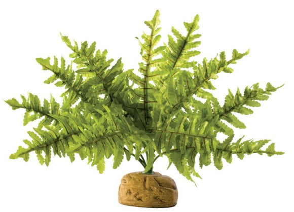 EXO TERRA BOSTON FERN MEDIUM 40CM WIDE