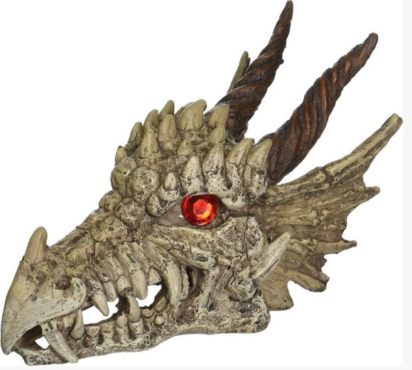 PENN PLAX DRAGON SKULL GAZER 20CM