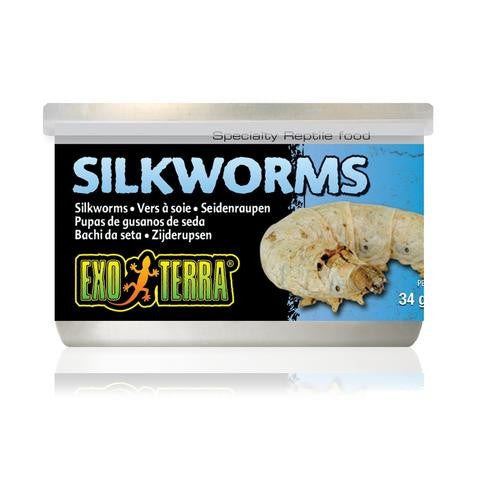 EXO TERRA SILKWORMS 34GM