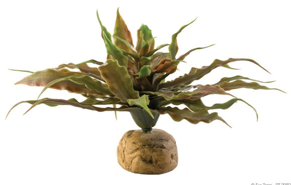 EXO TERRA STAR CACTUS 23CM WIDE