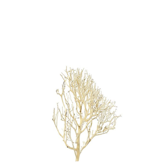 PISCES AQUA NATURAL CORAL WOOD SMALL 15-20CM