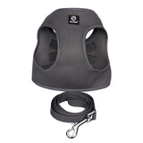 PET ONE HARNESS AND LEASH SET 28-30CM GREY 3XS