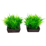 AQUA ONE ECOSCAPE FOREGROUND HAIR GRASS GREEN 2 PACK