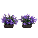 AQUA ONE ECOSCAPE FOREGROUND CATSPAW PURPLE 2PK