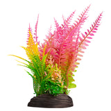 AQUA ONE LIQUORICE FERN/FERN PINK MEDIUM 8"