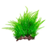 AQUA ONE ECOSCAPE LIQORICE FERN/EAGLE FERN GREEN WIDE LARGE 12"