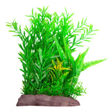 AQUA ONE ECOSCAPE LUDWIGIA BREVIPES/JAVA FERN GREEN WIDE LARGE 12"