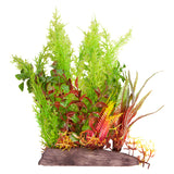 AQUA ONE ECOSCPAE CHRISTMAS MOSS GREEN/HYGRO RED WIDE LARGE 12"