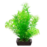 AQUA ONE ECOSCAPE AMBULIA GREEN SMALL 4"