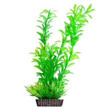 AQUA ONE ECOSCAPE LUDWIGIA GREEN MEDIUM 8"