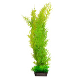 AQUA ONE ECOSCAPE CHRISTMAS MOSS GREEN LARGE 12"