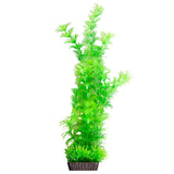 AQUA ONE ECOSCAPE AMBULIA GREEN LARGE 12"
