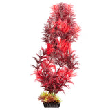 AQUA ONE ECOSCAPE CABOMBA RED XLARGE 16"