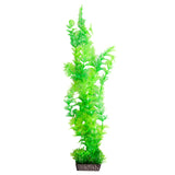 AQUA ONE ECOSCAPE AMBULIA GREEN XLARGE 16"