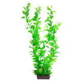 AQUA ONE ECOSCAPE HYGRO GREEN XLARGE 16"