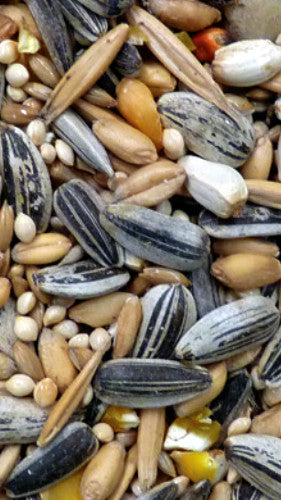 AVIGRAIN PARROT 750G