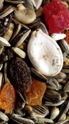 AVIGRAIN FRUIT & NUT MEDLEY 600G