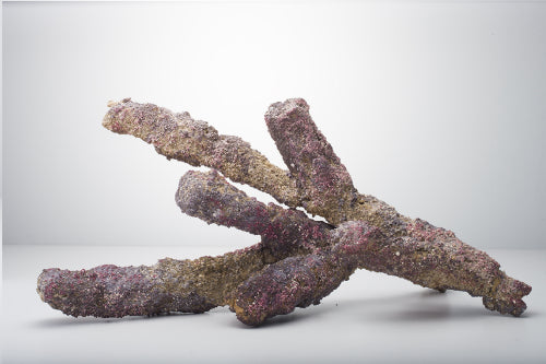 CARIBSEA LIFE ROCK BELIZE BRANCH 20LB (BOX)