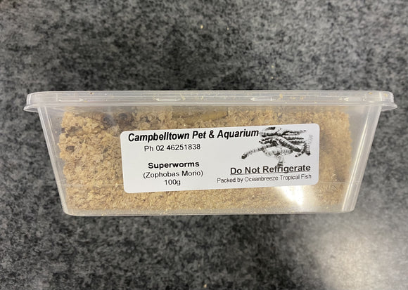 SUPERWORM (Zophobas Morio)100G