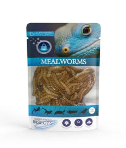 JURASSIC NATURAL MEALWORM 20G PACK