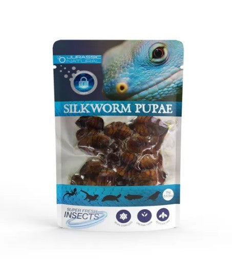 JURASSIC NATURAL SILWORM PUPAE 15G PACK