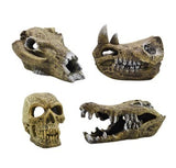 AQUAMATE ORNAMENT MEDIUM SKULL ASSORTED