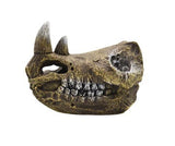 AQUAMATE ORNAMENT MEDIUM SKULL ASSORTED