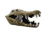 AQUAMATE ORNAMENT MEDIUM SKULL ASSORTED