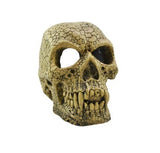 AQUAMATE ORNAMENT MEDIUM SKULL ASSORTED