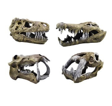 AQUAMATE ORNAMENT X-LARGE SKULL ASSORTED