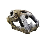 AQUAMATE ORNAMENT X-LARGE SKULL ASSORTED