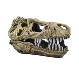 AQUAMATE ORNAMENT X-LARGE SKULL ASSORTED