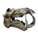 AQUAMATE ORNAMENT X-LARGE SKULL ASSORTED