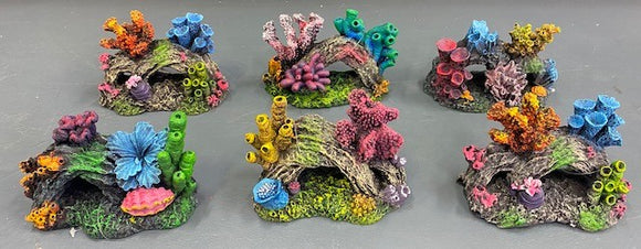 AQUAMATE ORNAMENT SHORT REEFS ASSORTED
