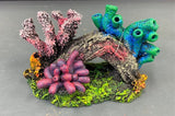 AQUAMATE ORNAMENT SHORT REEFS ASSORTED