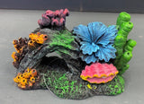 AQUAMATE ORNAMENT SHORT REEFS ASSORTED