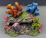 AQUAMATE ORNAMENT SHORT REEFS ASSORTED