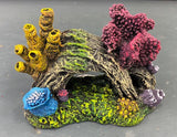 AQUAMATE ORNAMENT SHORT REEFS ASSORTED