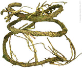 REPTILE ONE VINE JUNGLE TWIST MOSS 1.5M