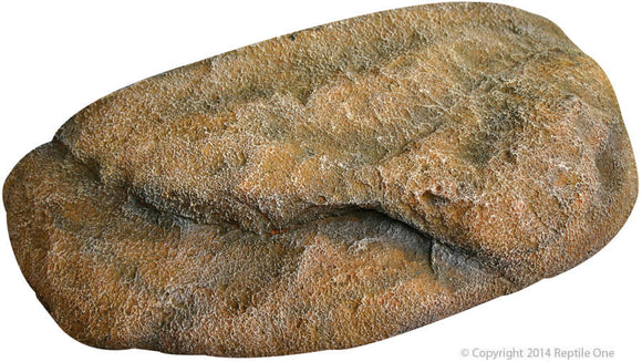 REPTILE ONE DYNO ROCK CLIMBING LEDGE LARGE 44.5X21.8X10CM