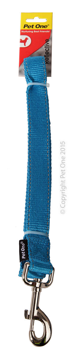 PET ONE LEASH NYLON 120CM 25MM AQUA