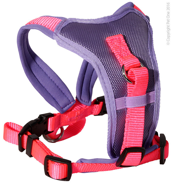 PET ONE 64-78CM HARNESS COMFY 25MM PADDED PURPLE