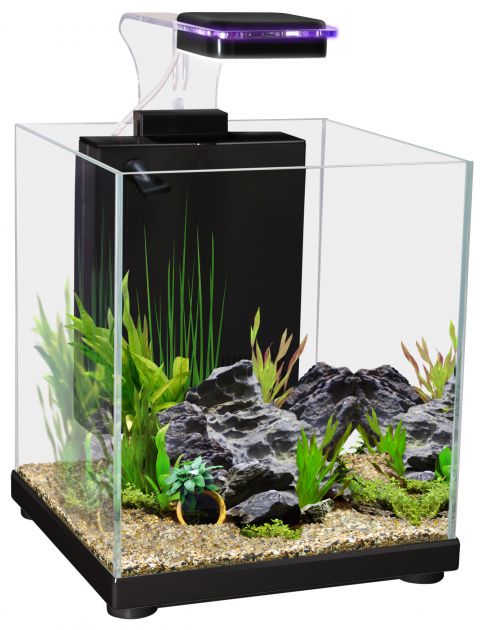 AQUA ONE BETTA SANCTUARY GLASS 10L BLACK – Campbelltown Pet & Aquarium Centre Pty Ltd